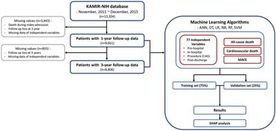 Prediction of longitudinal clinical outcomes after acute myocardial infarction using a dynamic machine learning algorithm
